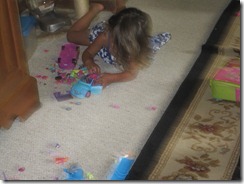 IMG_9527 IMG_9527