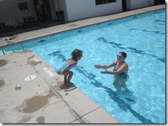 IMG_9528 IMG_9528