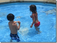 IMG_9530 IMG_9530